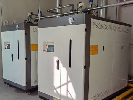 蒸汽发器制药行业应用案例